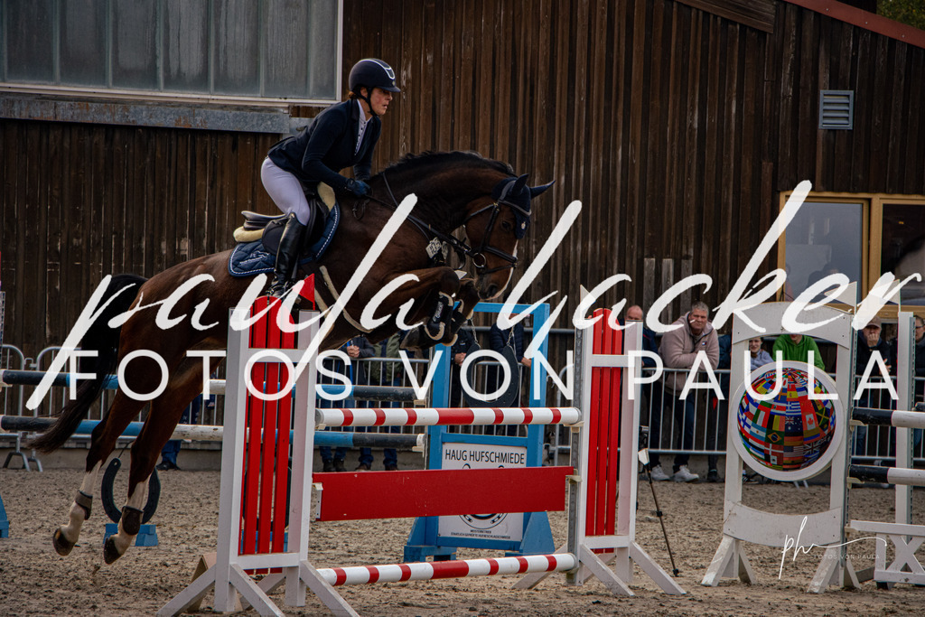 IMG_4843 | Erleben Sie dynamische Sport- und emotionale Tierfotografie in Süddeutschland mit Fotos von Paula. Spezialisiert auf Pferde- und Hundefotografie sowie Sportevents. Kontaktieren Sie mich für einzigartige und ausdrucksstarke Bilder Ihrer besonderen Momente. - Realisiert mit Pictrs.com