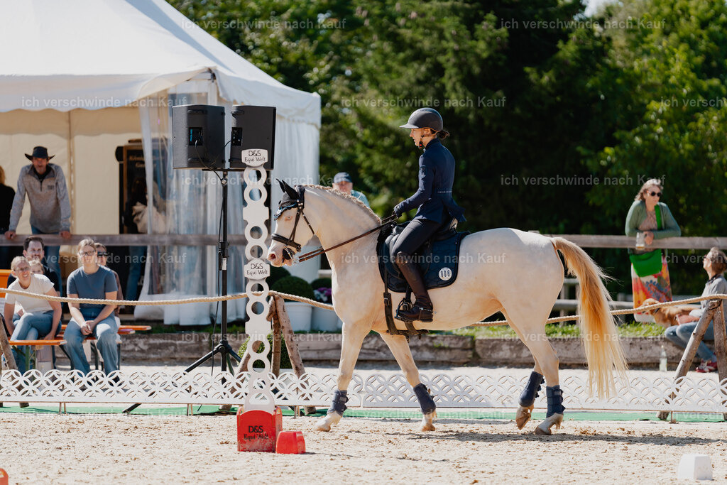 Nici11_FHC2025-08500 | working equitationturnier fotograf videograf stoibphotography marixx film working equitation deutschland reitsport turnierfotografie eventfotografie equestrian events