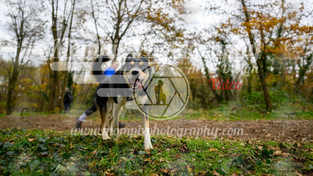 MompixPhotography_Bischwiller24_DI_CoursedeRelais-64 | PayLife