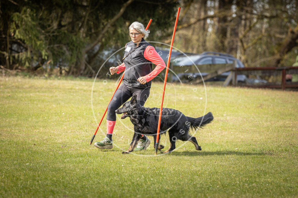 Pfotenfotografie_DV3A9589 | Hundefotografie, Tierfotograf, Pfotenfotografie, Fotoshooting Hund, Hunde Portrait, Hundesport, Hundeportraits, Heideshooting, Hunde, Sportfotograf, Hundefotograf, Turnierhundsport, THS,  - Realisiert mit Pictrs.com