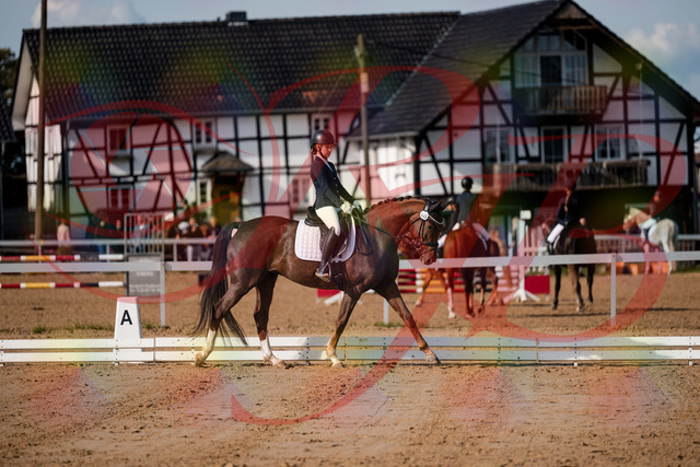 2026_10_03_Siefer-Hof_114955_Z63_28355091 | Professionelle Reitsport-, Turnier- und Eventfotografie von Robert Broda. Galerien mit ausgewählten und bearbeiteten Bildern direkt online ansehen und bestellen.