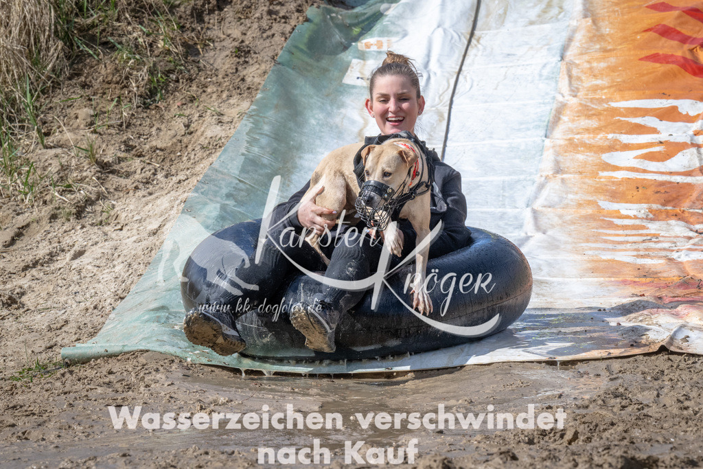 1136_ZZ94526 | kk-dogfotos