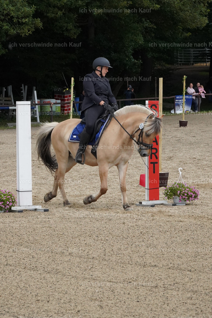 KlasseE_Lucie519 | working equitationturnier fotograf videograf stoibphotography marixx film working equitation deutschland reitsport turnierfotografie eventfotografie equestrian events