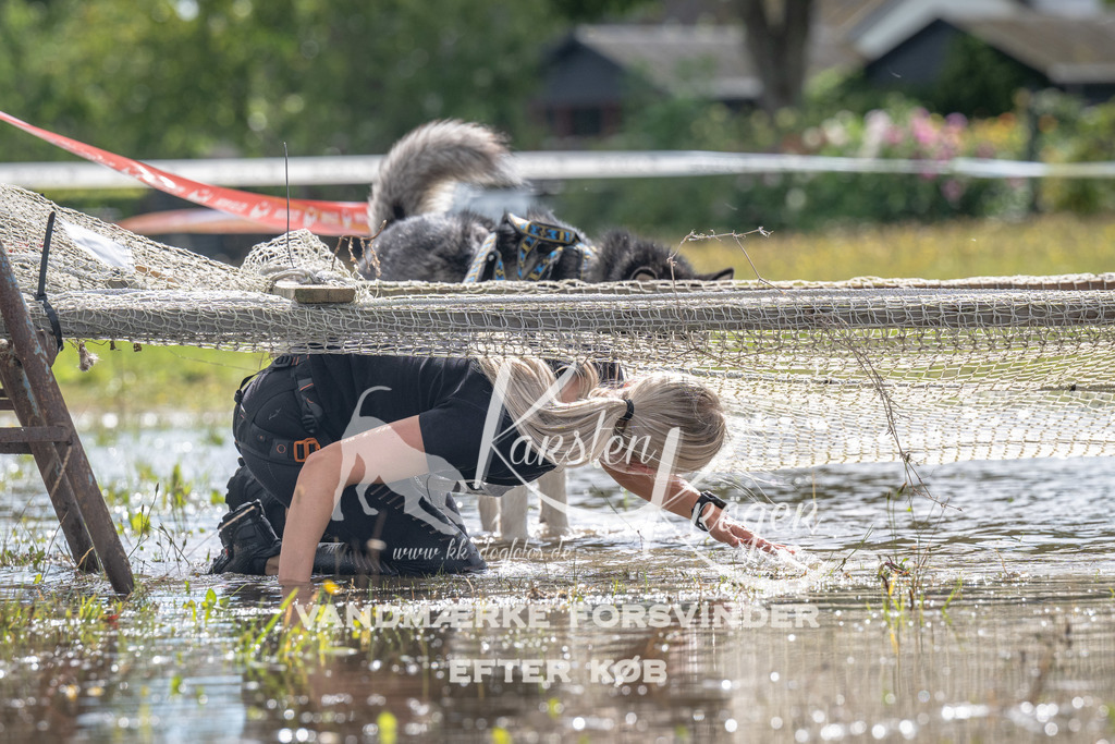 1332_ZZ90081 | kk-dogfotos