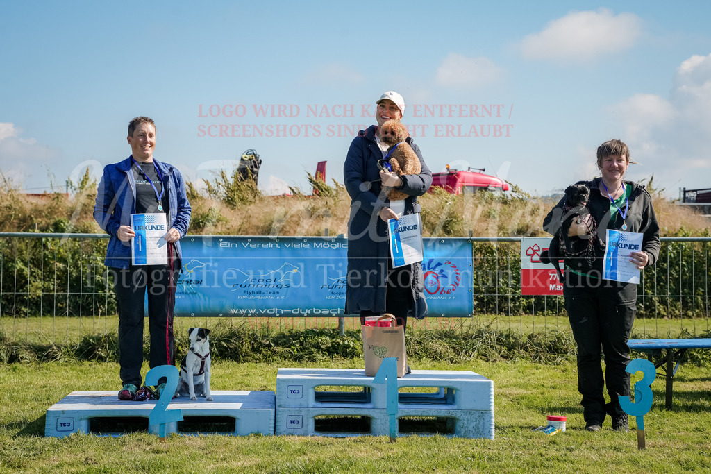 20250928_Hunderennen-740 | MuT (Mensch und Tier) mit Mona - Fotografie und Tierkommunikation - Realisiert mit Pictrs.com