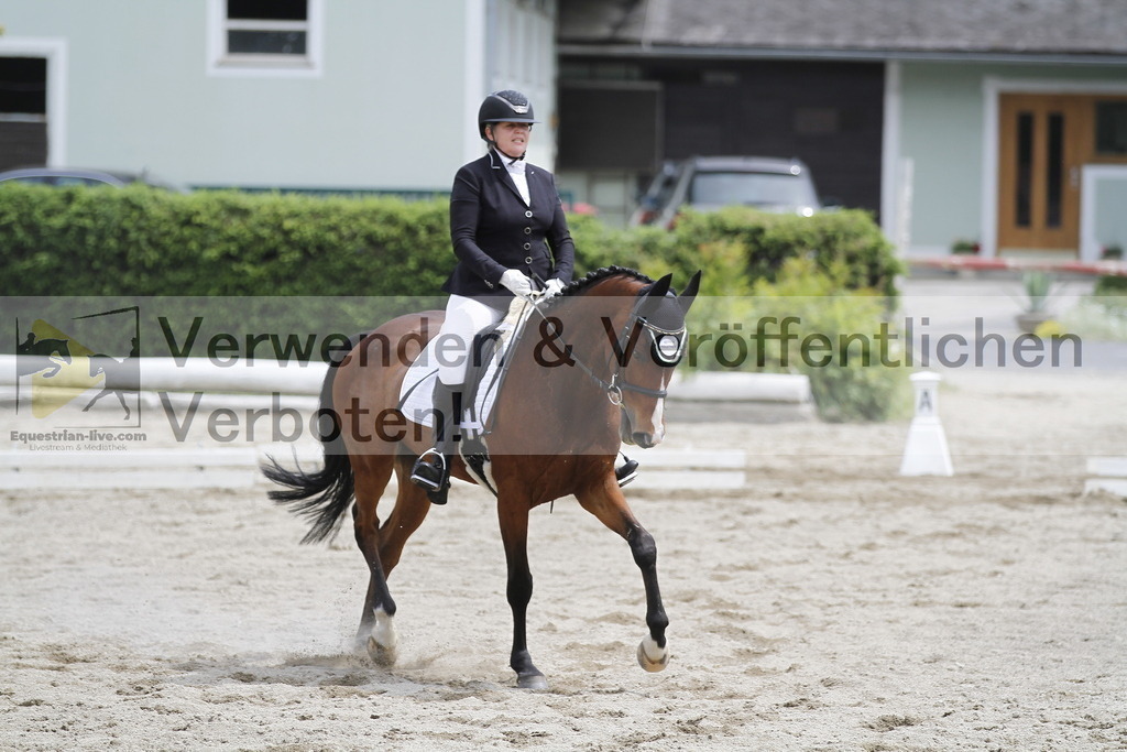 _MG_8865 | equestrian-live-com