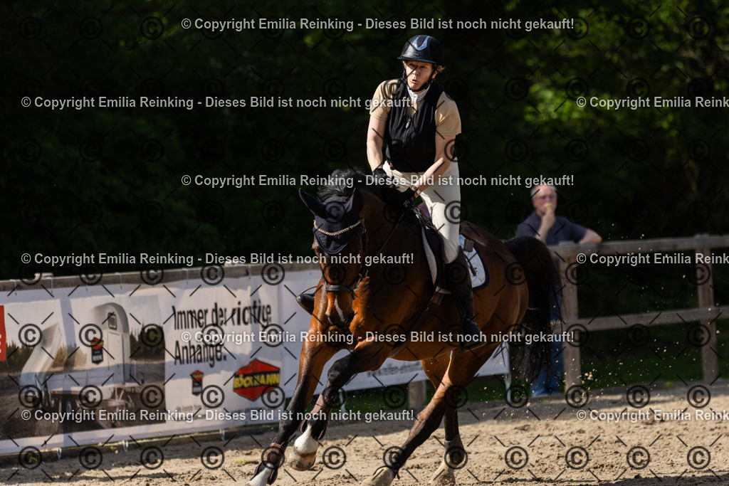 CL5A5054 | Emilia Reinking Fotografie - Realisiert mit Pictrs.com