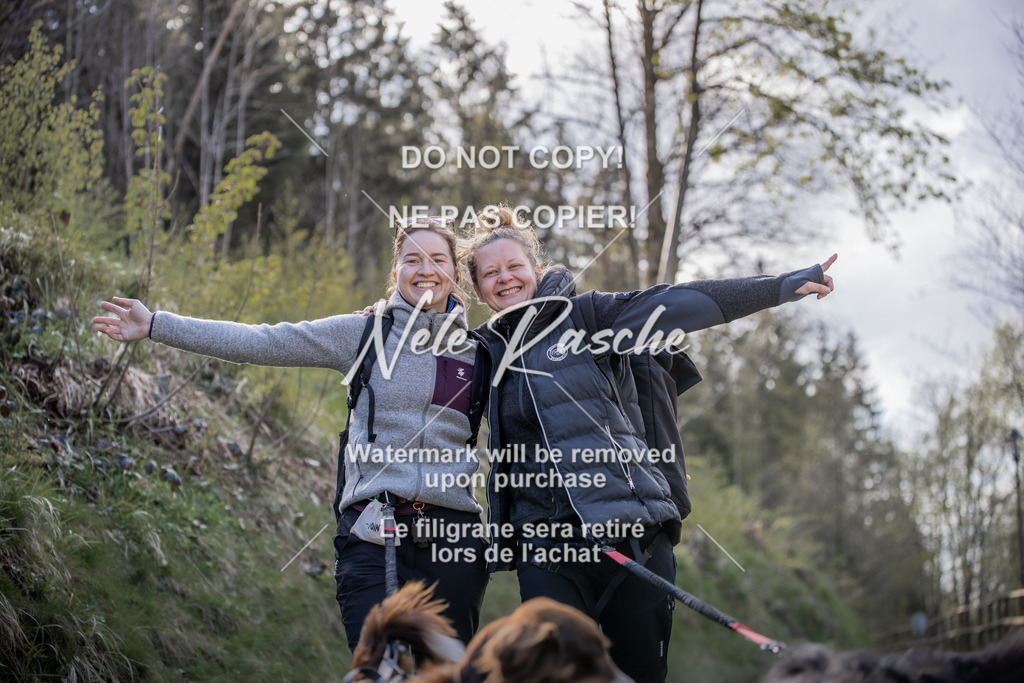 NR__0675 | nelerasche