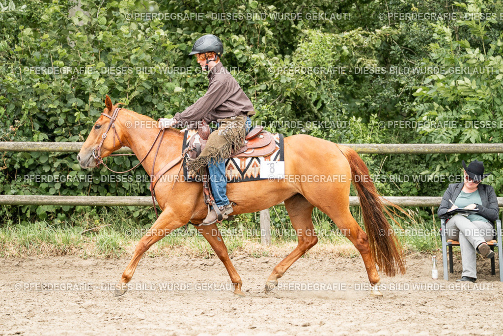 DSC01346 | Pferdegrafie