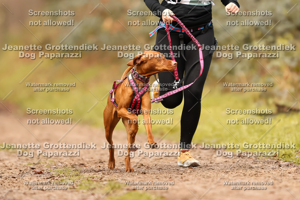 Dog Paparazzi - Speedhunter Mannheim  2025-288 | Dog Paparazzi Jeanette Grottendiek Fotografie & Videografie