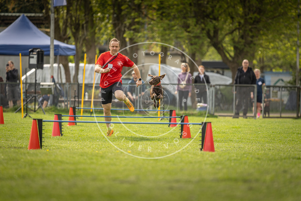 Pfotenfotografie_DV3A5990 | Hundefotografie, Tierfotograf, Pfotenfotografie, Fotoshooting Hund, Hunde Portrait, Hundesport, Hundeportraits, Heideshooting, Hunde, Sportfotograf, Hundefotograf, Turnierhundsport, THS,  - Realisiert mit Pictrs.com