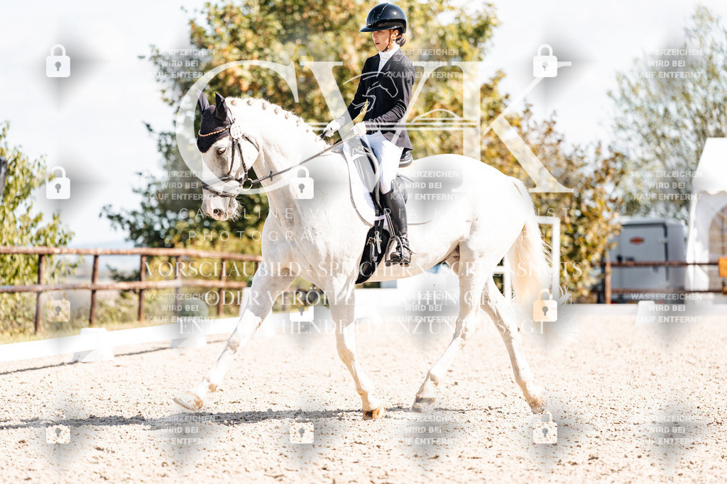 CK902922 | Turnierfotografie Pferdefotografie Trier Rheinland-Pfalz Pferdesport Reitsport Tierfotografie Sportfotografie Pferdevideo Pferdevideografie Equestrianvideography equestrianphotography  - Realisiert mit Pictrs.com