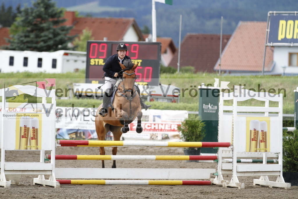 _MG_2425 | equestrian-live-com