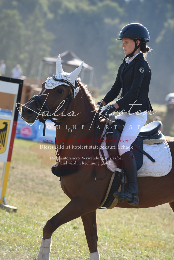DSC_5823 | Pferde- und Turnierfotografie in Westsachsen. Pferdeportraits, Auftragszeichnungen und intuitive Kunst.