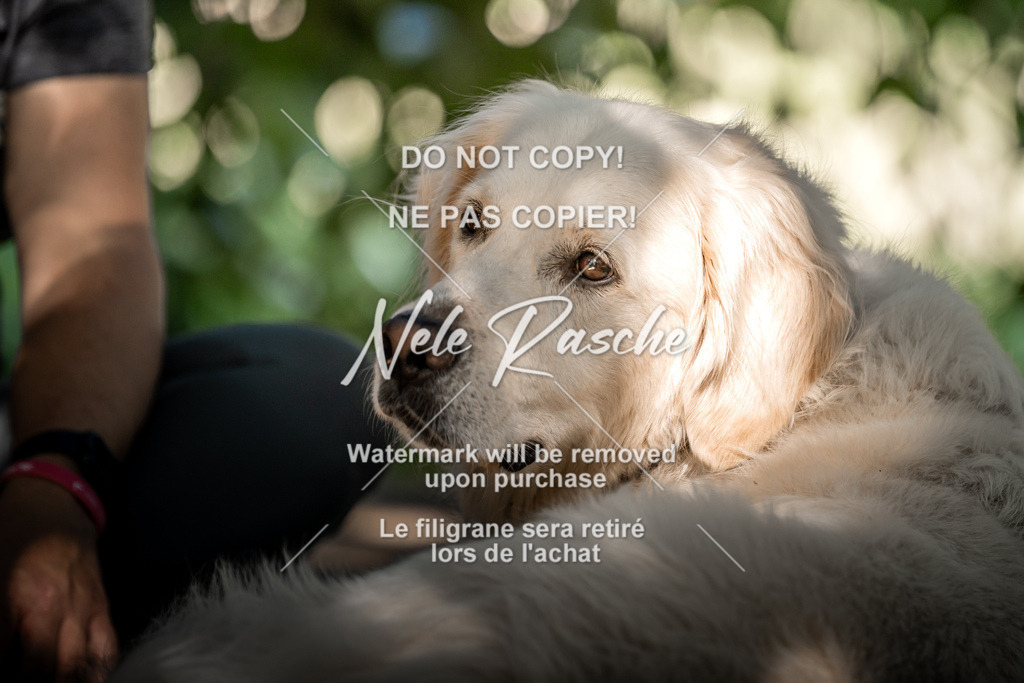 nelerasche_slaw24Do_296 | nelerasche