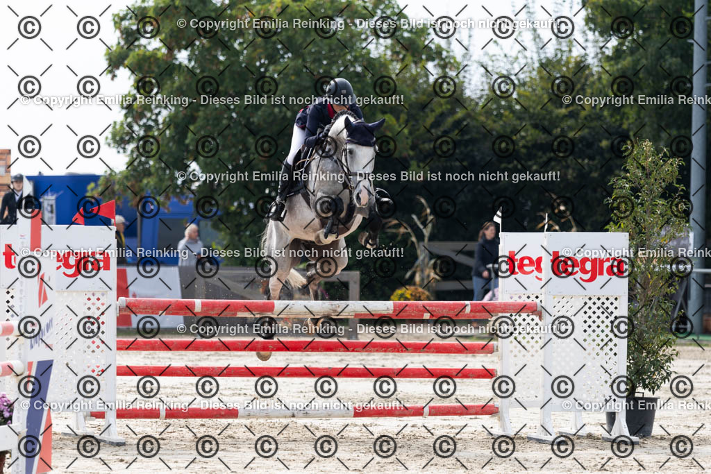 CL5A5067 | Emilia Reinking Fotografie - Realisiert mit Pictrs.com