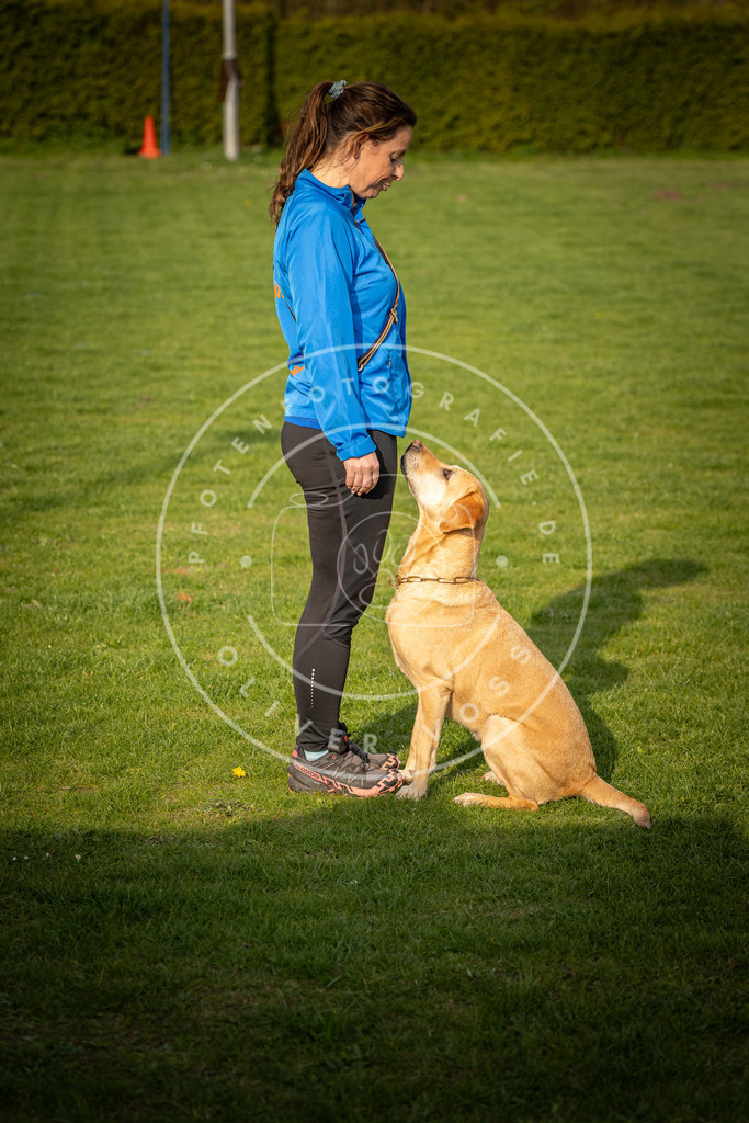 Pfotenfotografie_DV3A4782 | Hundefotografie, Tierfotograf, Pfotenfotografie, Fotoshooting Hund, Hunde Portrait, Hundesport, Hundeportraits, Heideshooting, Hunde, Sportfotograf, Hundefotograf, Turnierhundsport, THS,  - Realisiert mit Pictrs.com