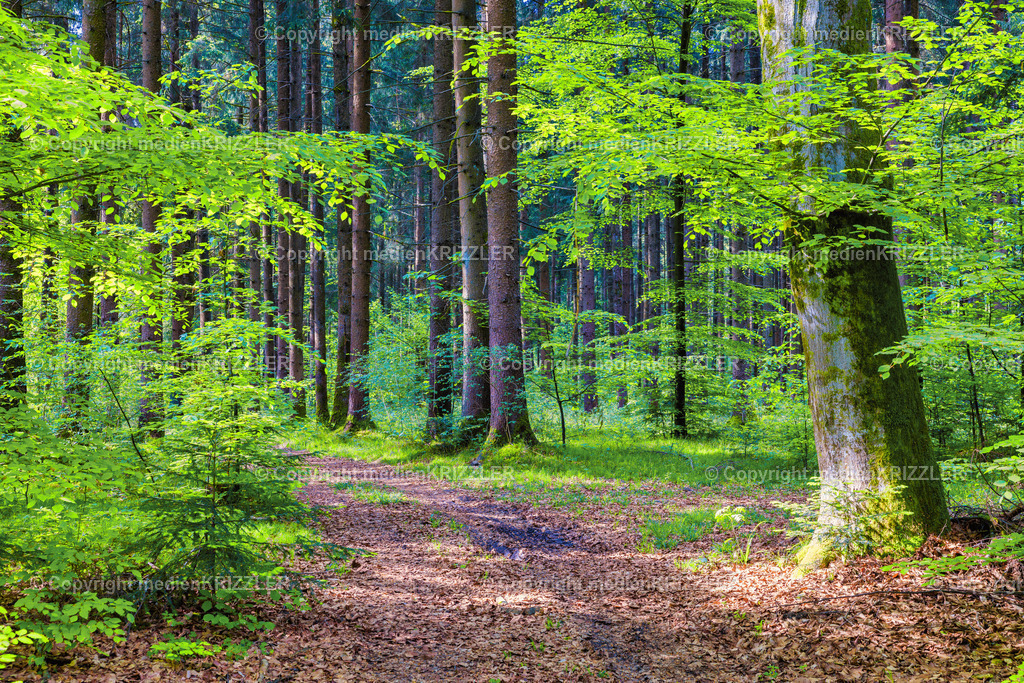 _J3A7709 | medienkrizzler - Realisiert mit Pictrs.com