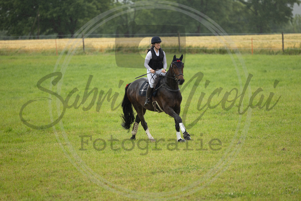 994A1842 | sabrinanicolaifotografie - Realisiert mit Pictrs.com