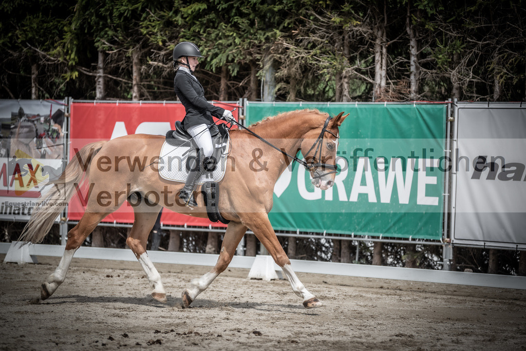 DSC_2697 | equestrian-live-com