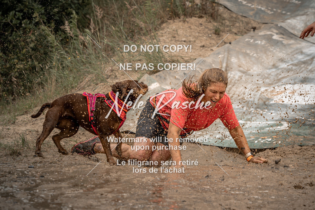 nelerasche_sa1345-1430_59 | nelerasche