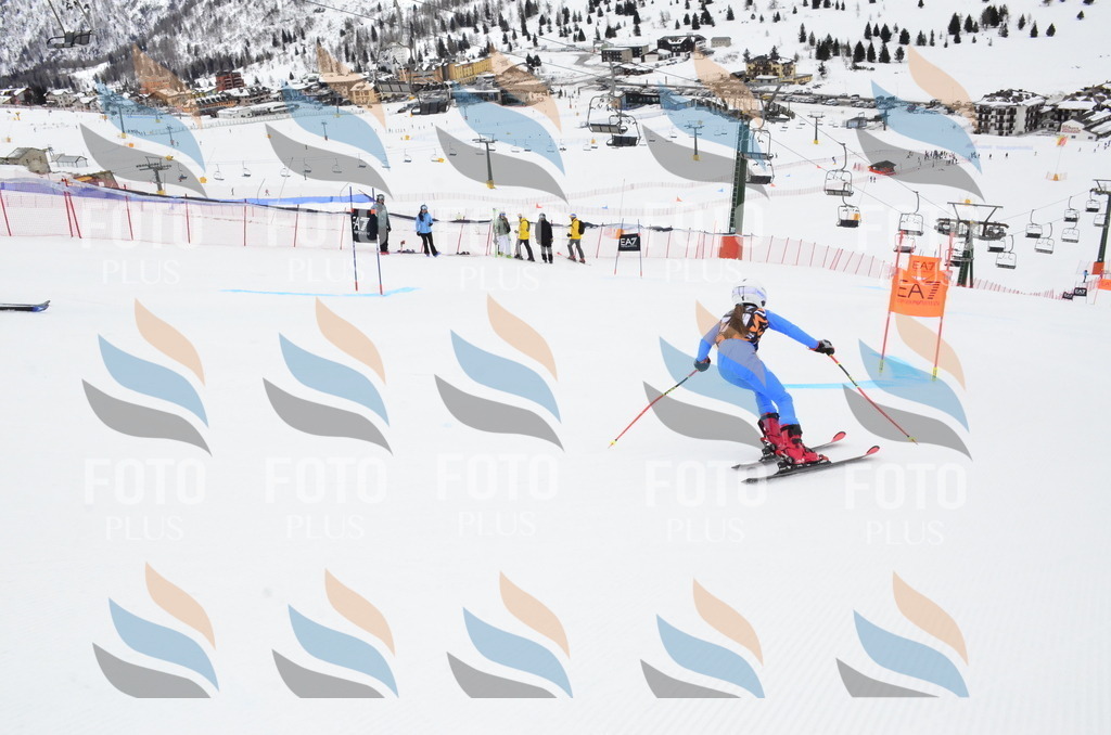 _ELE4020 | holidayphoto