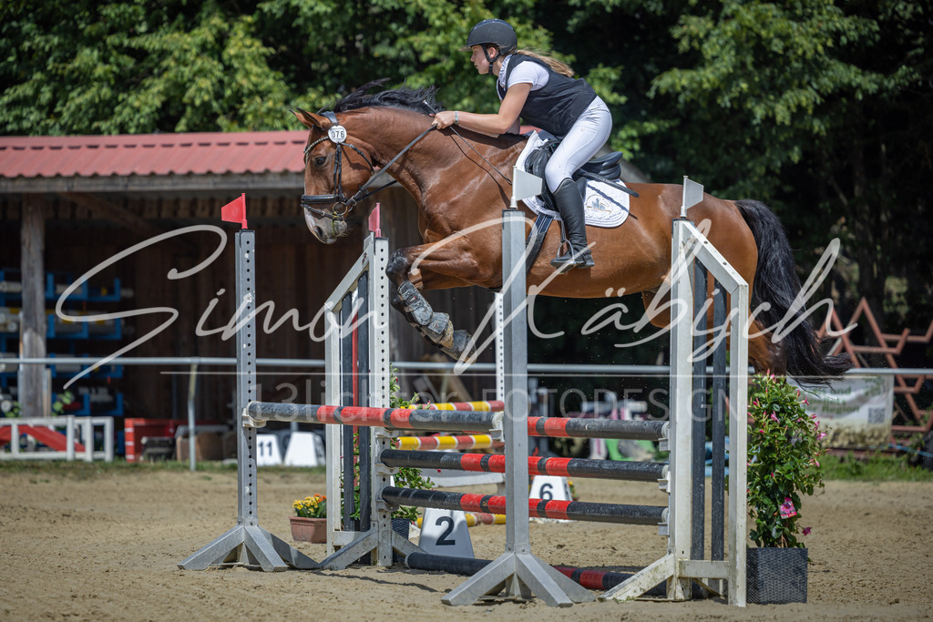 20260704-_3LI0083 | Tierfotografie Pferde, Hunde, Katzen, Haustiere.
Turnierfotografie Reitturniere, Reiten, Springreiten, Dressur in Hanau, dem Main-Kinzig-Kreis und dem Rhein-Main- Gebiet um Frankfurt
