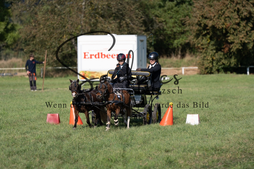 A7V04382 | Pferdefotograf