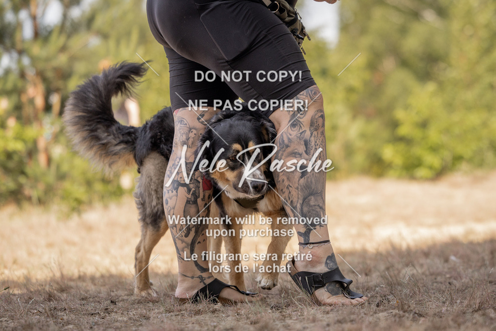 nelerasche_soDD2_241 | nelerasche