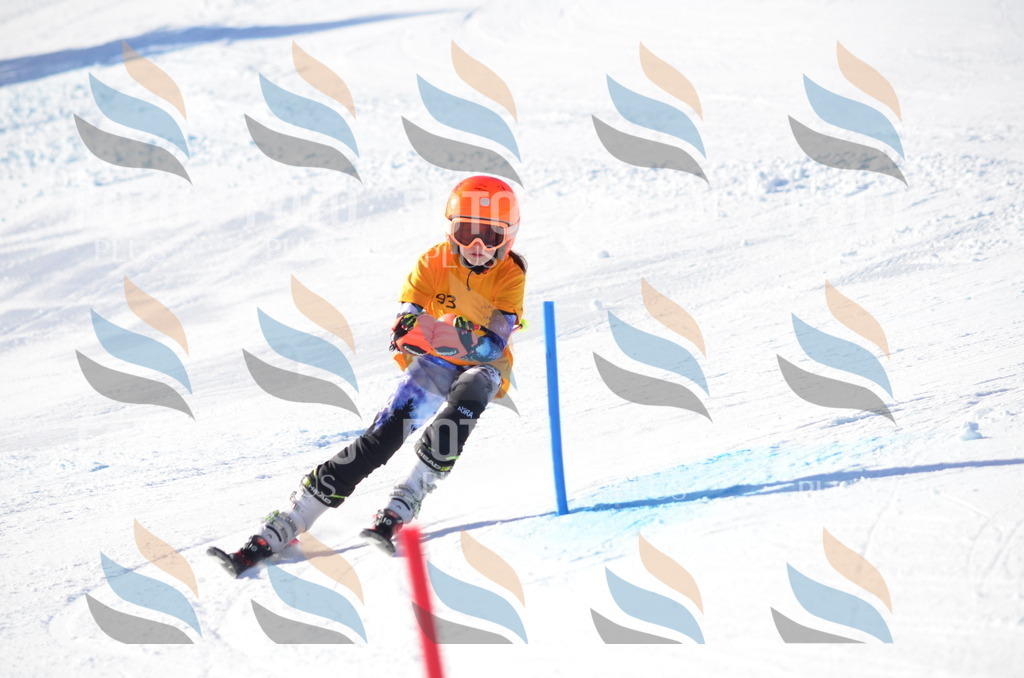 C6080 | holidayphoto