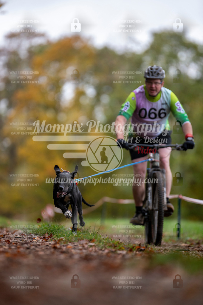 DBT_DAKM_SA_4_11_2023_Bike-45 | PayLife