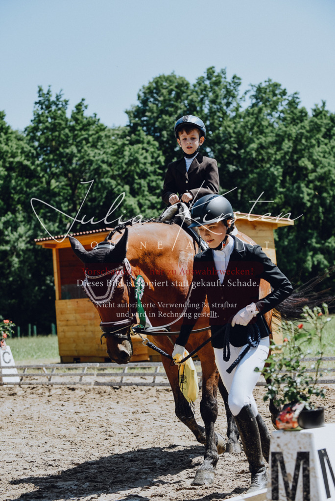 DSC_2377 | Pferde- und Turnierfotografie in Westsachsen. Pferdeportraits, Auftragszeichnungen und intuitive Kunst.