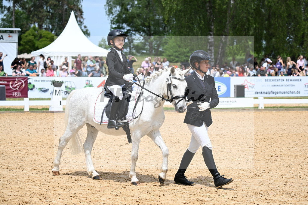 Nuernberger Burg Pokal Fuehrzuegelklasse_11256447 | hf-fotografie - Realisiert mit Pictrs.com