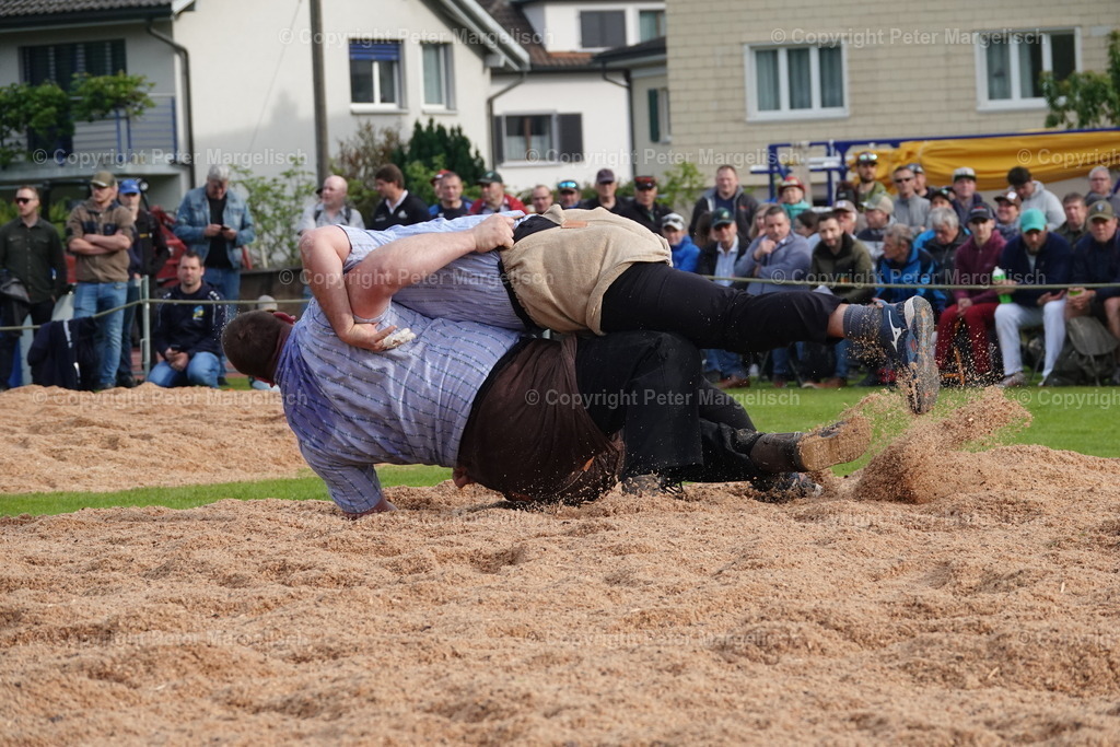 DSC03994 | Schwingen - Realisiert mit Pictrs.com