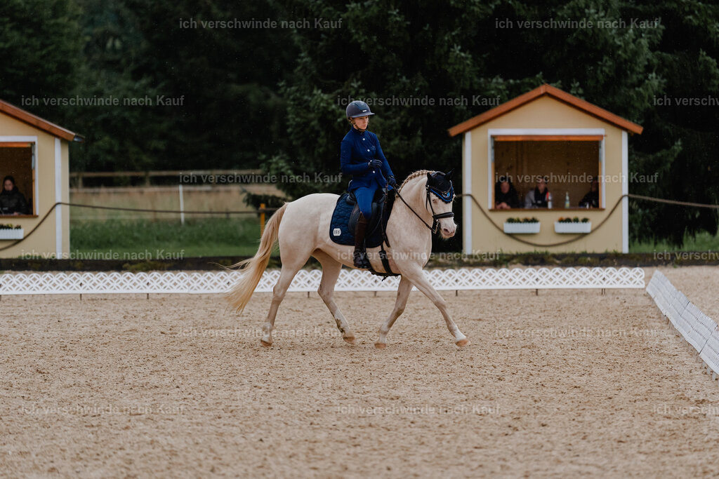 Nici11_FHC2025-8786 | working equitationturnier fotograf videograf stoibphotography marixx film working equitation deutschland reitsport turnierfotografie eventfotografie equestrian events