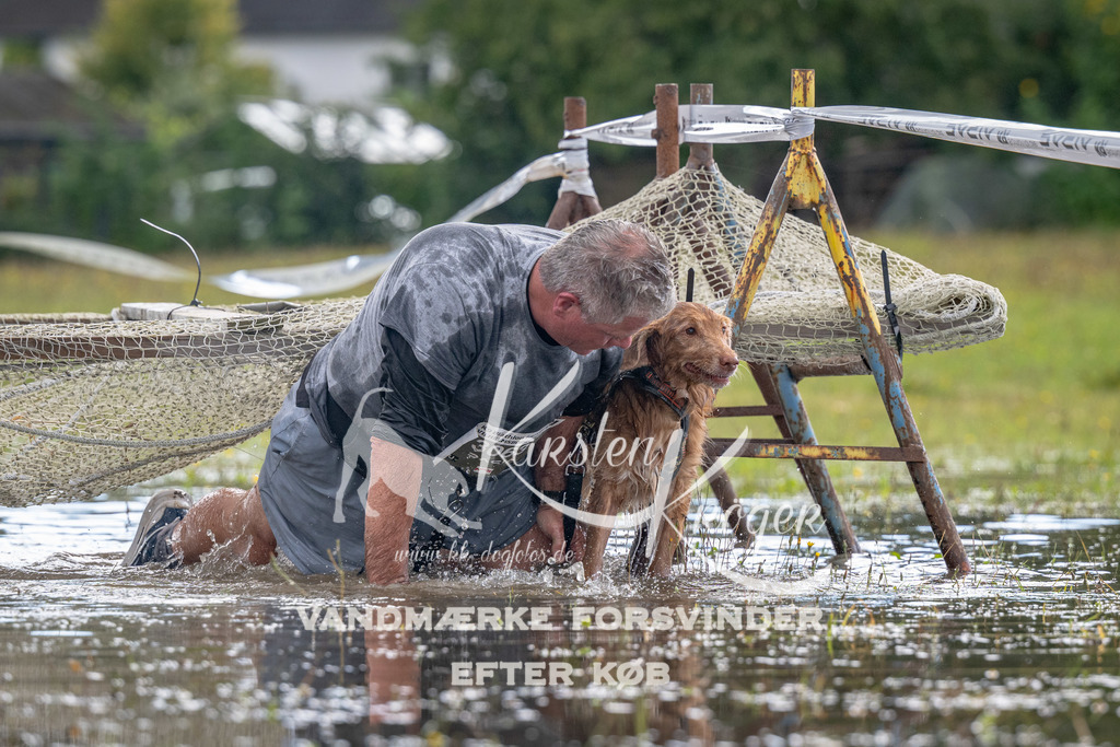 1346_ZZ90991 | kk-dogfotos