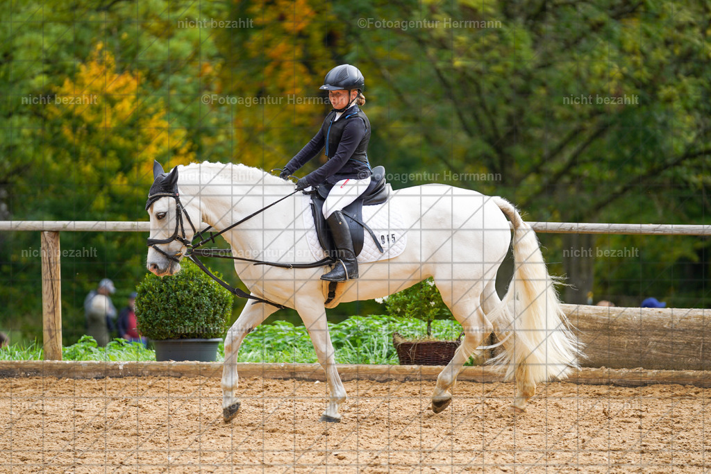 20221008-FAH01266 | Diessen am Ammersee, 2022, Dressur- und Springturnier, Reitsportbilder, Turnierfotografen Bayern, Pferdefotografen, Fotoagentur Herrmann, Turnierbilder