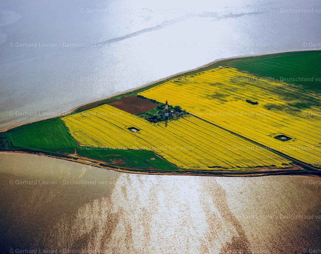 7000568 | Raps-Feldstrukturen am Leuchtturm Fehmarn,