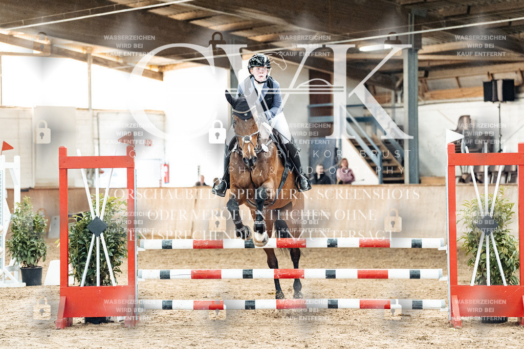 CK904659 | Turnierfotografie Pferdefotografie Trier Rheinland-Pfalz Pferdesport Reitsport Tierfotografie Sportfotografie Pferdevideo Pferdevideografie Equestrianvideography equestrianphotography  - Realized with Pictrs.com