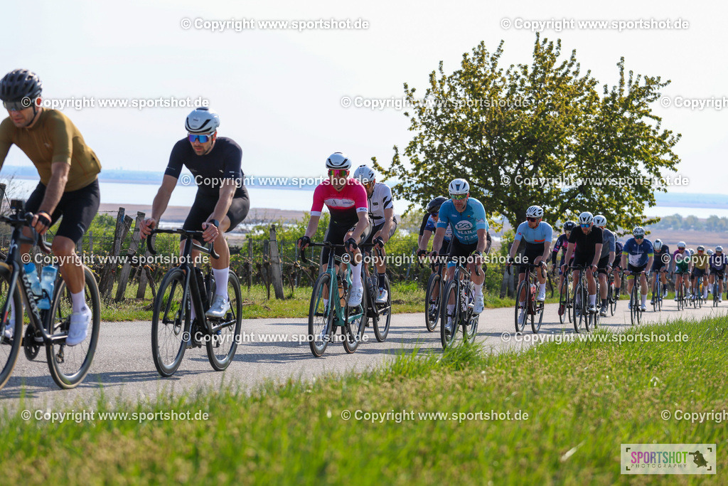 IMG_0976 | @sportshot_your_pictrs #yourpictures#roadtowm2029 #nrm #neusiedlerseeradmarathon #neusiedlersee #neusiedlerseetourismus #burgenland #mörbisch #nrm26 #burgenlandtourismus #voglundco #poweredbyburgenlandtourismus #radsport #rad #marathon #ucigranfondo #visitburgenland #ucigranfondoworldseries
