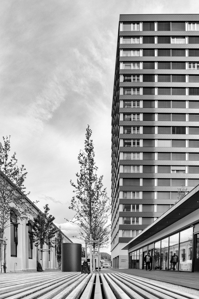 2024_05_17 A7C01622 | bridgeman - Realisiert mit Pictrs.com