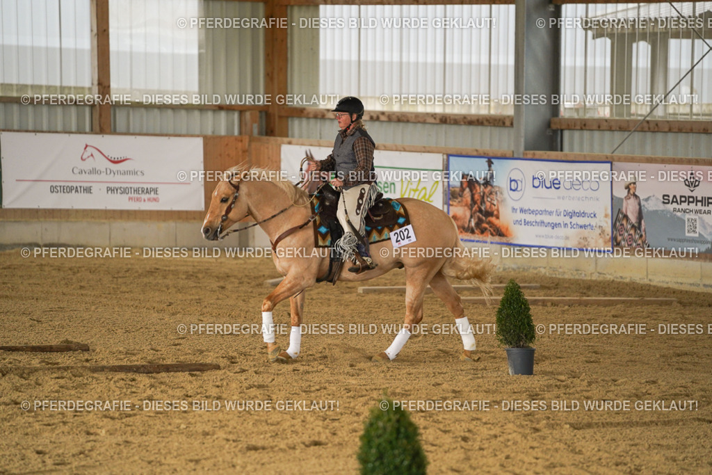 DSC04933 | Pferdegrafie