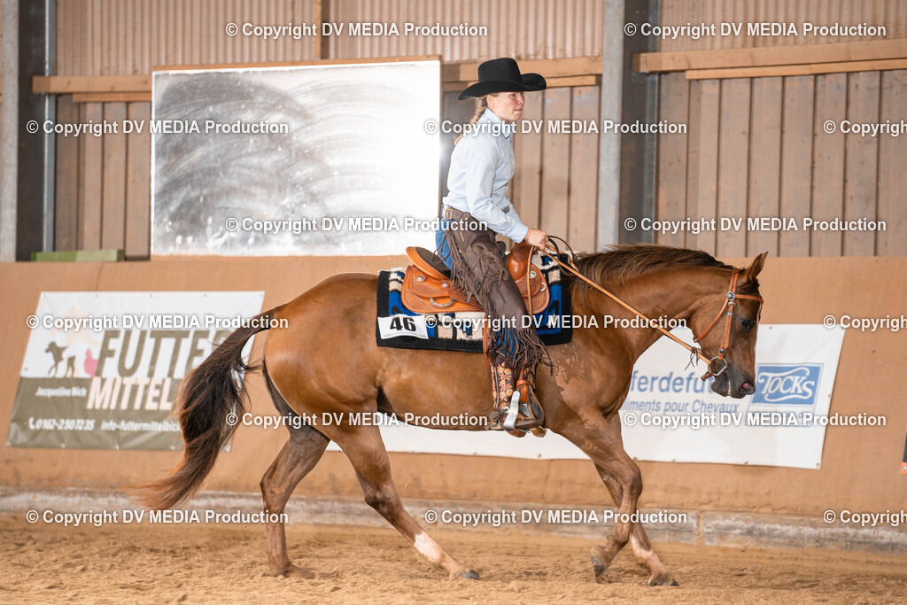 Losheim Tag 1-603 | dv-media-shop - Realisiert mit Pictrs.com