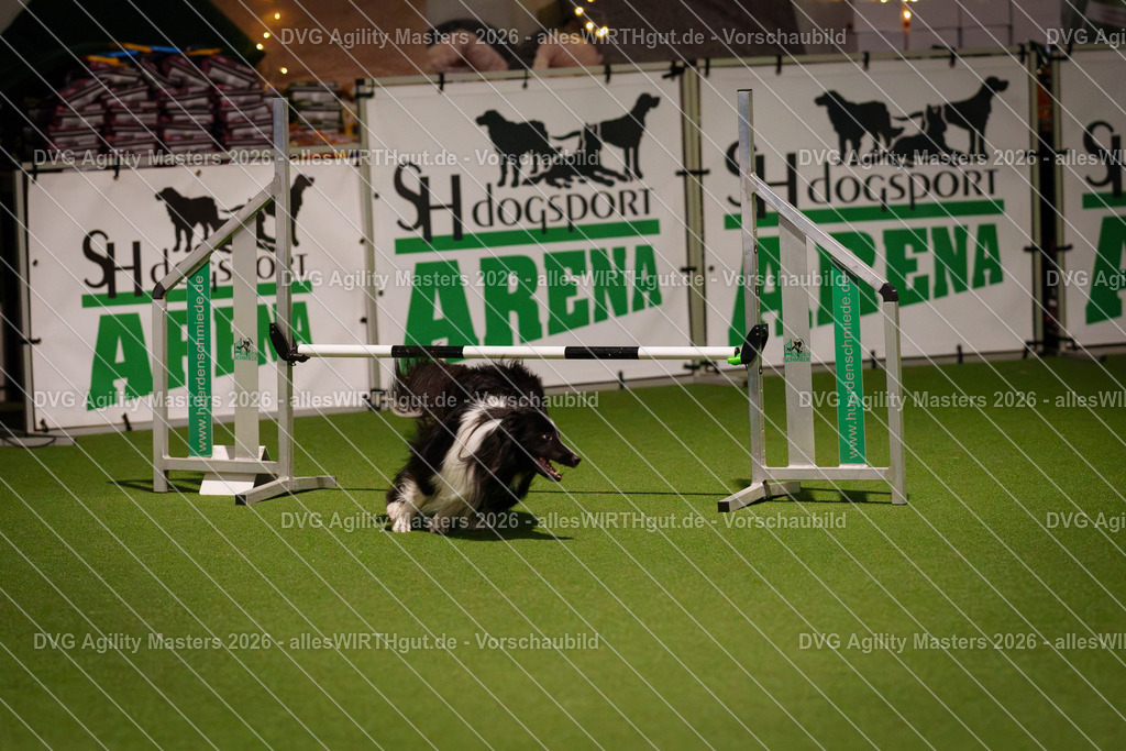 allesWIRTHgut_Tierfotografie-DVG_Agility_Masters_2026-17_06-7R505097 | Professionelle Tierfotografie in Mönchengladbach von Daniel Wirth (allesWIRTHgut). Liebevolle & natürliche Bilder von Hunden & Katzen für unvergessliche Erinnerungen.