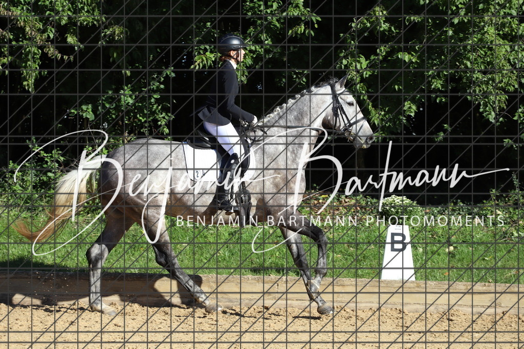 IMG_4947 | Benjamin Bartmann Photomoments