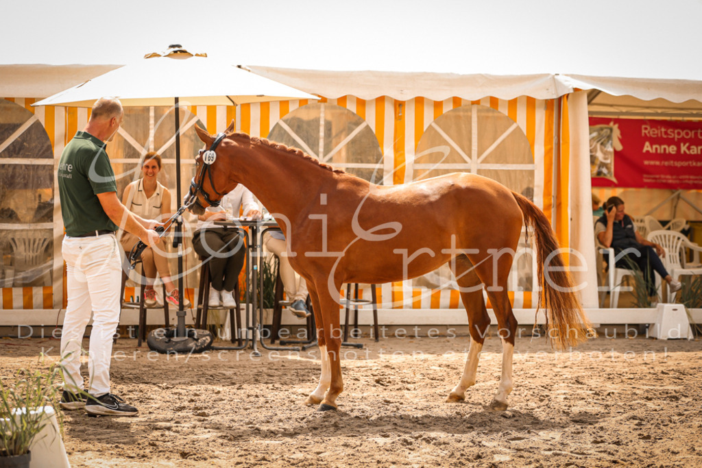 11.So00060 | Leoni Ertmer Photography - Realisiert mit Pictrs.com