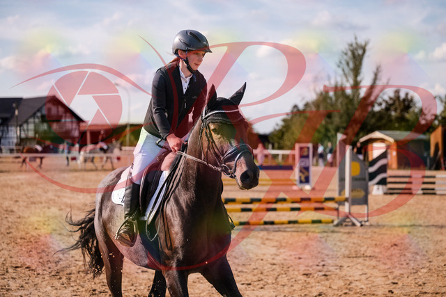 2026_10_03_Siefer-Hof_154847_Z81_67180784 | Professionelle Reitsport-, Turnier- und Eventfotografie von Robert Broda. Galerien mit ausgewählten und bearbeiteten Bildern direkt online ansehen und bestellen.