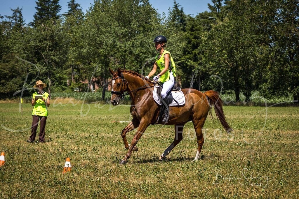 CJP_2026-06-26_37 | Stimmungsvolle Fotografie von Pferden, fotografische Begleitung von Veranstaltungen, Golfturnieren und Distanzritten - Realisiert mit Pictrs.com
