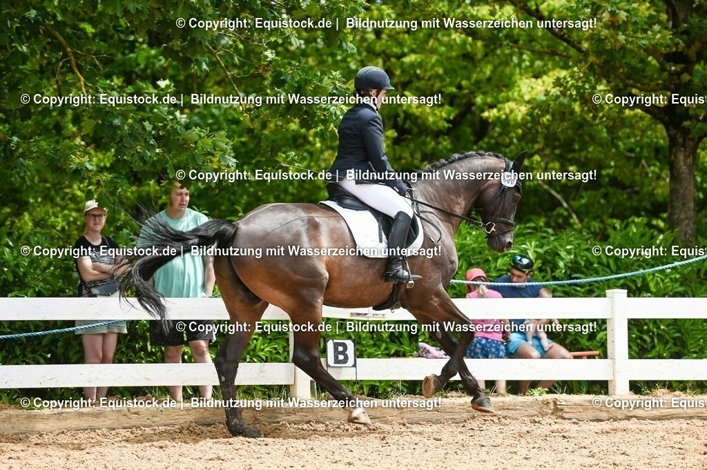 20230716_03_Dressurprfg. Kl.L - Tr._0366 | equistock