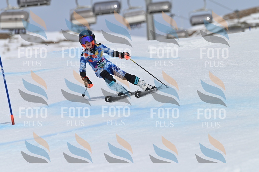 BGV_3783 | holidayphoto